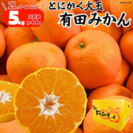 【予約】 みかん 大玉 どっこいしょ 箱込 5kg (内容量 4.4kg) 2Lサイズ以上 秀品 優品 混合 和歌山県産 有田みかん 大きい 有田ミカン ありたみかん 甘いミカン 甘いみかん 産地直送 家庭用 みかん家庭用 ミカン 蜜柑 mikan 【みかんの会】2025年11月中旬より出荷