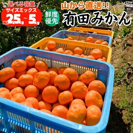 みかん 山から直送 箱込 5kg 10kg 鮮度優先ごろごろ規格 箱入りみかん みかん家庭用 みかん箱買い 甘いみかん 冬みかん ありたみかん 旬の果物 旬のフルーツ 旬の柑橘類 旬の柑橘 和歌山県産 産地直送 家庭用 果物 フルーツ サイズミックス 【みかんの会】