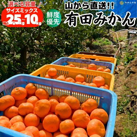 【予約】 みかん 山から直送 箱込 5kg 2.5kg 鮮度優先ごろごろ規格 みかん家庭用 みかん箱買い 甘いみかん 旬の果物 旬のフルーツ 旬の柑橘類 旬の柑橘 和歌山県産 産地直送 家庭用 果物 フルーツ サイズミックス 【みかんの会】 2025年11月中旬より出荷