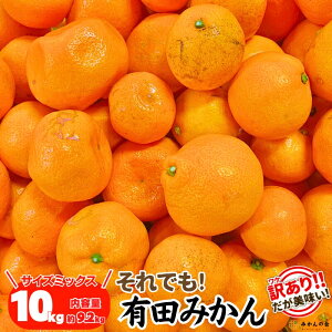 【予約】 訳あり それでも みかん 箱込 5kg 2.5kg サイズミックス B品 訳ありみかん 訳ありミカン わけありみかん フードロス 果物 訳あり柑橘類 訳アリフルーツ わけありフルーツ わけあり果