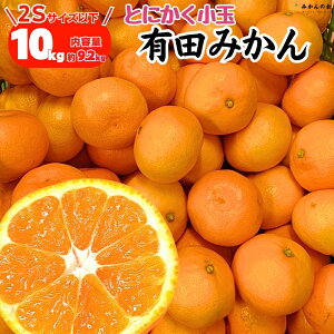 y\z Ƃɂ ݂  10kg ( e 9.2kg ) 2STCYȉ ʂ݂ Gi Di  ݂10L a̎RY Lc݂ Yn ƒp ʃ~J ݂ ~