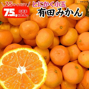 【予約】 とにかく小玉 みかん 箱込 7.5kg ( 内容量 6.8kg ) 2Sサイズ以下 秀品 優品 混合 和歌山県産 有田みかん 産地直送 家庭用 小玉みかん 小玉ミカン 小さいみかん 小さいミカン ミカン 蜜柑