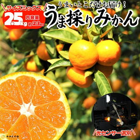 【予約】 みかん うま採り 箱込約 2.5kg （内容量2.3kg） 光センサー選別 厳選 サイズ混合 和歌山県 産地直送 有田みかん 贈答用 お取り寄せ 贈答用 ミカン 甘いみかん mikan 蜜柑 プレゼント ギフト 果物 フルーツギフト フルーツ みかん箱買い みかんの会 11月中旬出荷