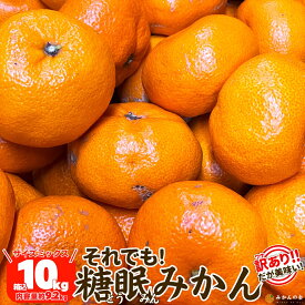 訳あり それでも 熟成みかん 箱込 10kg (内容量 9.2kg) サイズミックス B品 有田みかん 和歌山県産 産地直送 家庭用 【みかんの会】 みかん ミカン 蜜柑 甘い 甘いみかん 旬の果物 旬のフルーツ 訳ありみかん 訳ありみかん10キロ わけあり ワケアリ 大きい 小さい 大玉 小玉