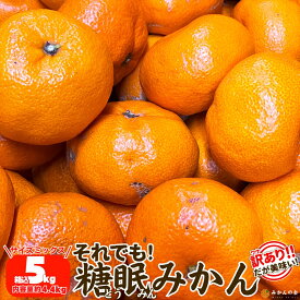 訳あり それでも 熟成みかん 箱込 5kg ( 内容量 4.4kg ) サイズミックス B品 有田みかん 和歌山県産 産地直送 家庭用【みかんの会】 みかん 年明け ミカン 蜜柑 甘い わけあり ワケアリ 色んなみかん 大きい 小さい 大玉 小玉