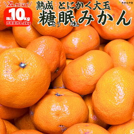 熟成 みかん とにかく 大玉 箱込 10kg( 内容量 9.2kg )2Lサイズ以上 秀品 優品 混合 有田みかん 和歌山県産 産地直送 家庭用 和歌山ミカン 10キロ 十キロ ご自宅用 ミカン 蜜柑 秀 わかやま 産直 箱買い おいしい 美味しい お取り寄せ 大玉みかん みかん10k みかん通販10キロ