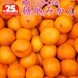 熟成 みかん とにかく 小玉 箱込 2.5kg ( 内容量 2.3kg ) 2Sサイズ以下 秀品 優品 混合 有田みかん 和歌山県産 産地直送 家庭用 和歌山 人気 2s 5kg 10kg お歳暮 贈り物 ギフト プレゼント ミカン 蜜柑 甘い