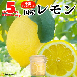  Y  Gi  5kg 2.5kg L M S TCY~bNX a̎RY Yn F k ʕ ݂ ꂢ  ς VN ʂ T[ l[h a̎R Lc