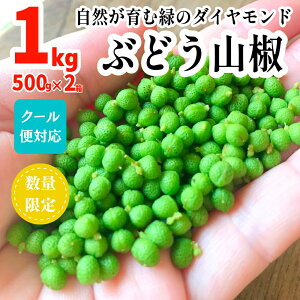 山椒の実の人気商品・通販・価格比較 - 価格.com