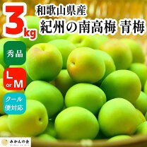 楽天市場】甘露 梅（食品）の通販