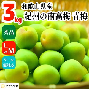 梅干し 3kgの人気商品・通販・価格比較 - 価格.com