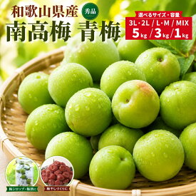 【予約】2027年5月より発送 南高梅 青梅 秀品 和歌山県産 3L 2L L M S 5kg 3kg 1kg 紀州有田 産地直送 梅酒作り用 梅ジュース作り用 青梅5キロ クール便 梅干し うめぼし 梅仕事 梅酒うめ 梅酒用の梅 梅酒梅 紀州南高梅 梅酒 国産梅 紀州梅 梅酒の梅