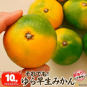 y\z 󂠂 ł 瑁 ݂  2.5kg (e2.3kg) TCY~bNX Lc݂a̎RY ~J  mikan Â ΂݂̂ IW ỷ݂z 10{o