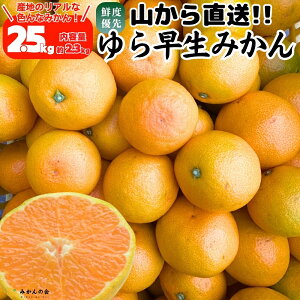 瑁 ݂ R璼  2.5kg (e2.3kg) ̂ꂽĂ̂܂܂낲Ki Lc݂ a̎RY ~J  mikan Â ΂݂̂ IW ỷ݂z 10{o