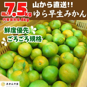 果物 コンテナの人気商品・通販・価格比較 - 価格.com