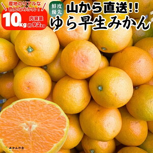 瑁 ݂ R璼  10kg (e9.2kg) ̂ꂽĂ̂܂܂낲Ki ݂  ~J ݂10kg Lc݂ 瑁݂ a̎RY ~J  mikan Â 