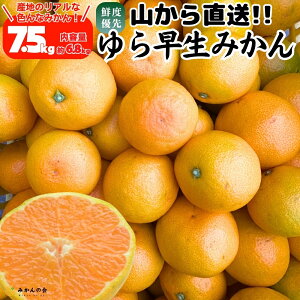 瑁 ݂ R璼  7.5kg (e6.8kg) ̂ꂽĂ̂܂܂낲Ki Lc݂ a̎RY ~J  mikan Â ΂݂̂ IW ỷ݂z 10{o