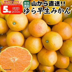 瑁 ݂ R璼  5kg (e4.4kg) ̂ꂽĂ̂܂܂낲Ki Lc݂ ݂ 瑁݂ Â݂ a̎R݂ Lc~J a̎RY ~J  