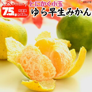 y\z 瑁 ݂ Ƃɂ  7.5kg (e6.8kg) 2STCYȉ Gi Di  Lc݂ a̎RY ~J  mikan Â ΂݂̂ IW ỷ݂z 10{