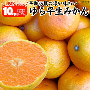 瑁 ݂  10kg (e9.2kg) S M LTCŶꂩ Gi Di  a̎RY Lc݂ ~J  mikan _ς Â ΂݂̂ ỷ݂z 10{o