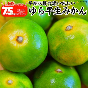 y\z 瑁 ݂  7.5kg (e6.8kg) S M LTCŶꂩ Gi Di  a̎RY Lc݂ ~J  mikan _ς Â ΂݂̂ ỷ݂z 10{o