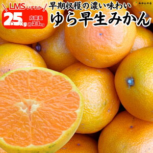 瑁 ݂  2.5kg (e2.3kg) S M LTCŶꂩ Gi Di  a̎RY Lc݂ ~J  mikan _ς Â ΂݂̂ ỷ݂z 10{o