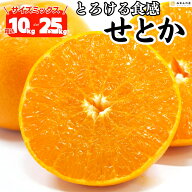 【スーパーセール割引】【予約】 2027年2月より発送 せとか 箱込 10kg 7.5kg 5kg 2.5kg 秀品 優品 混合 …