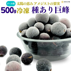 Ⓚ 킠  500g GD TCY~bNX a̎RY Ⓚt[c Y Ⓚʕ ⓀԂǂ t[Yt[c Yn Ԃǂ  uhE N[ fU[g ʕ t