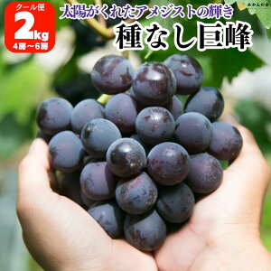 Ȃ  Lc̋ 2kg( 3[ `6[ ) a̎RY Yn t[c ʕ Ԃǂ uhE  嗱   ȂԂǂ 햳 8 9 { Mtg ƒp 􂽂˂Ȃ 