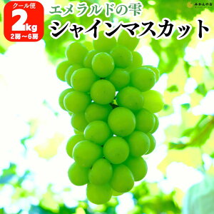 VC}XJbg Lc 2kg ( 2[ ~ 6[ ) a̎RY Yn VC}XJbgʔ t[c Ԃǂ 炲ƐHׂԂǂ VC }XJbg 嗱    