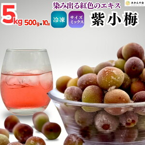 Ⓚ ~ 5kg (500g×10) GD TCY~bNX gF ~ a̎RY IB Lc ~ p[vNC[ p[vNB[ Ⓚ~ a̎R 5L ̔  ~W[X ~Vbv W