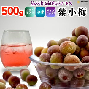Ⓚ ~ 500g GD TCY~bNX gF ~ a̎RY IB Lc ~ p[vNC[ p[vNB[ Ⓚ~ a̎R ̔  ~W[X ~Vbv W[Xp ~p ~
