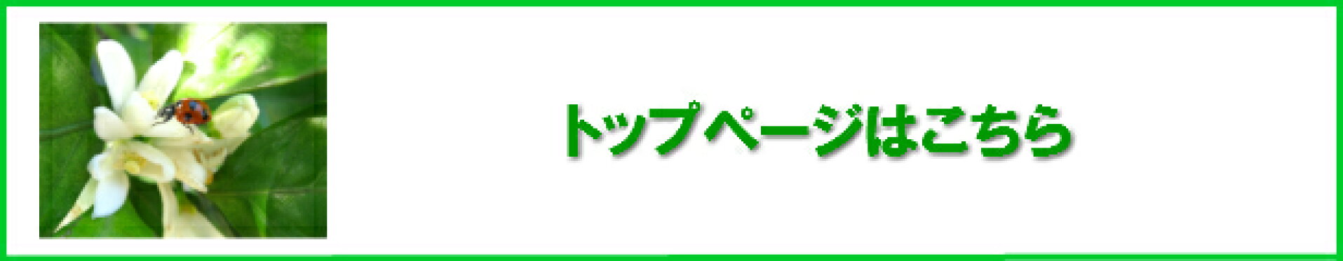トップページはこちら