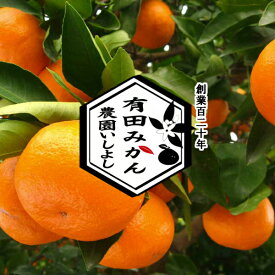 みかん 5kg(5キロ) 有田みかん 創業120年農家直送 お試し用 最高級有田みかん 無選別 SS s M L 2Lサイズ混在 和歌山県 有田産 温州みかん ご家庭用 少し 訳あり ミカン 濃厚 甘い 美味しい ランキング入賞 蜜柑 農家直送 ノーワック 果物 【ギフト対応不可】
