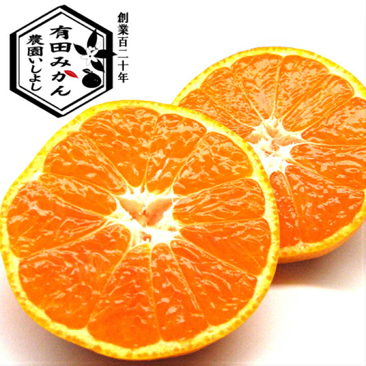 楽天市場 有田みかん 3kg箱 送料無料 創業1年農家直送の最高級みかん サイズ無選別 訳なし みかん 訳あり じゃない お試し価格 温州みかん 甘い 濃厚 美味しい 蜜柑 農園直送 ノーワックス ランキング入賞 ギフト対応不可 有田みかん農園いしよし