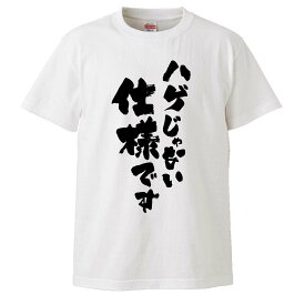 おもしろtシャツ みかん箱 ハゲじゃない仕様です 【ギフト プレゼント 面白いtシャツ メンズ 半袖 文字Tシャツ 漢字 雑貨 名言 パロディ おもしろ 全20色 サイズ S M L XL XXL】