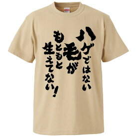 おもしろtシャツ みかん箱 ハゲではない！毛がもともと生えてない 【ギフト プレゼント 面白いtシャツ メンズ 半袖 文字Tシャツ 漢字 雑貨 名言 パロディ おもしろ 全20色 サイズ S M L XL XXL】