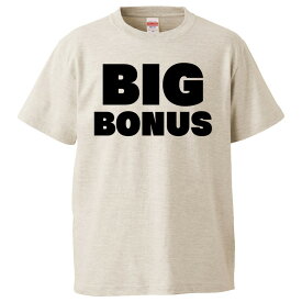 おもしろtシャツ みかん箱 BIGBONUS 【ギフト プレゼント 面白いtシャツ メンズ 半袖 文字Tシャツ 漢字 雑貨 名言 パロディ おもしろ 全20色 サイズ S M L XL XXL】