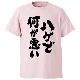 おもしろtシャツ みかん箱 ハゲで何が悪い 【ギフト プレゼント 面白いtシャツ メンズ 半袖 文字Tシャツ 漢字 雑貨 名言 パロディ おもしろ 全20色 サイズ S M L XL XXL】