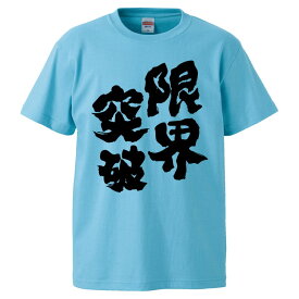 おもしろtシャツ みかん箱 限界突破 【ギフト プレゼント 面白いtシャツ メンズ 半袖 文字Tシャツ 漢字 雑貨 名言 パロディ おもしろ 全20色 サイズ S M L XL XXL】