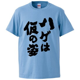 おもしろtシャツ みかん箱 ハゲは仮の姿 【ギフト プレゼント 面白いtシャツ メンズ 半袖 文字Tシャツ 漢字 雑貨 名言 パロディ おもしろ 全20色 サイズ S M L XL XXL】