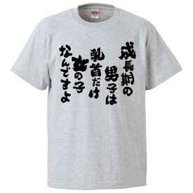 楽天市場 Tシャツ 男子の通販