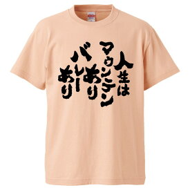 おもしろtシャツ みかん箱 人生はマウンテンありバレーあり 【ギフト プレゼント 面白いtシャツ メンズ 半袖 文字Tシャツ 漢字 雑貨 名言 パロディ おもしろ 全20色 サイズ S M L XL XXL】