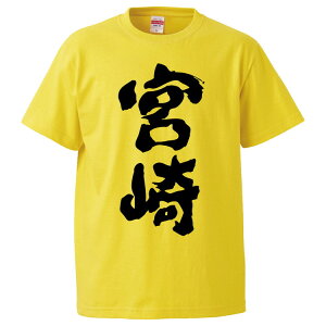 tVc ݂ { yMtg v[g ʔtVc Y  TVc  G  pfB  S20F TCY S M L XL XXLz