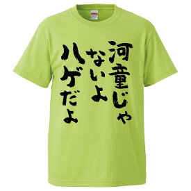 おもしろtシャツ みかん箱 河童じゃないよハゲだよ 【ギフト プレゼント 面白いtシャツ メンズ 半袖 文字Tシャツ 漢字 雑貨 名言 パロディ おもしろ 全20色 サイズ S M L XL XXL】