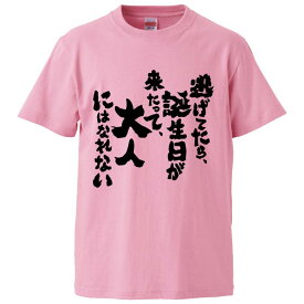 おもしろtシャツ みかん箱 逃げてたら、誕生日が来たって、大人にはなれない 【ギフト プレゼント 面白いtシャツ メンズ 半袖 文字Tシャツ 漢字 雑貨 名言 パロディ おもしろ 全20色 サイズ S M L XL XXL】