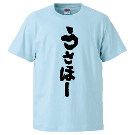 おもしろtシャツ みかん箱 うさほー 【ギフト プレゼント 面白いtシャツ メンズ 半袖 文字Tシャツ 漢字 雑貨 名言 パロディ おもしろ 全20色 サイズ S M L XL XXL】