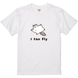 おもしろTシャツ みかん箱 icanfly 【ギフト プレゼント 面白いtシャツ メンズ 半袖 文字Tシャツ 漢字 雑貨 名言 パロディ おもしろ 全20色 サイズ S M L XL XXL】