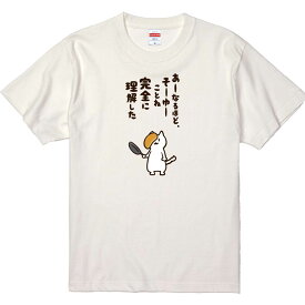 おもしろTシャツ みかん箱 あーなるほどそーゆーことね完全に理解した 【ギフト プレゼント 面白いtシャツ メンズ 半袖 文字Tシャツ 漢字 雑貨 名言 パロディ おもしろ 全20色 サイズ S M L XL XXL】