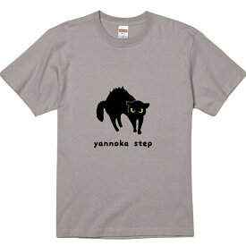 おもしろTシャツ みかん箱 やんのかステップ 【ギフト プレゼント 面白いtシャツ メンズ 半袖 文字Tシャツ 漢字 雑貨 名言 パロディ おもしろ 全20色 サイズ S M L XL XXL】
